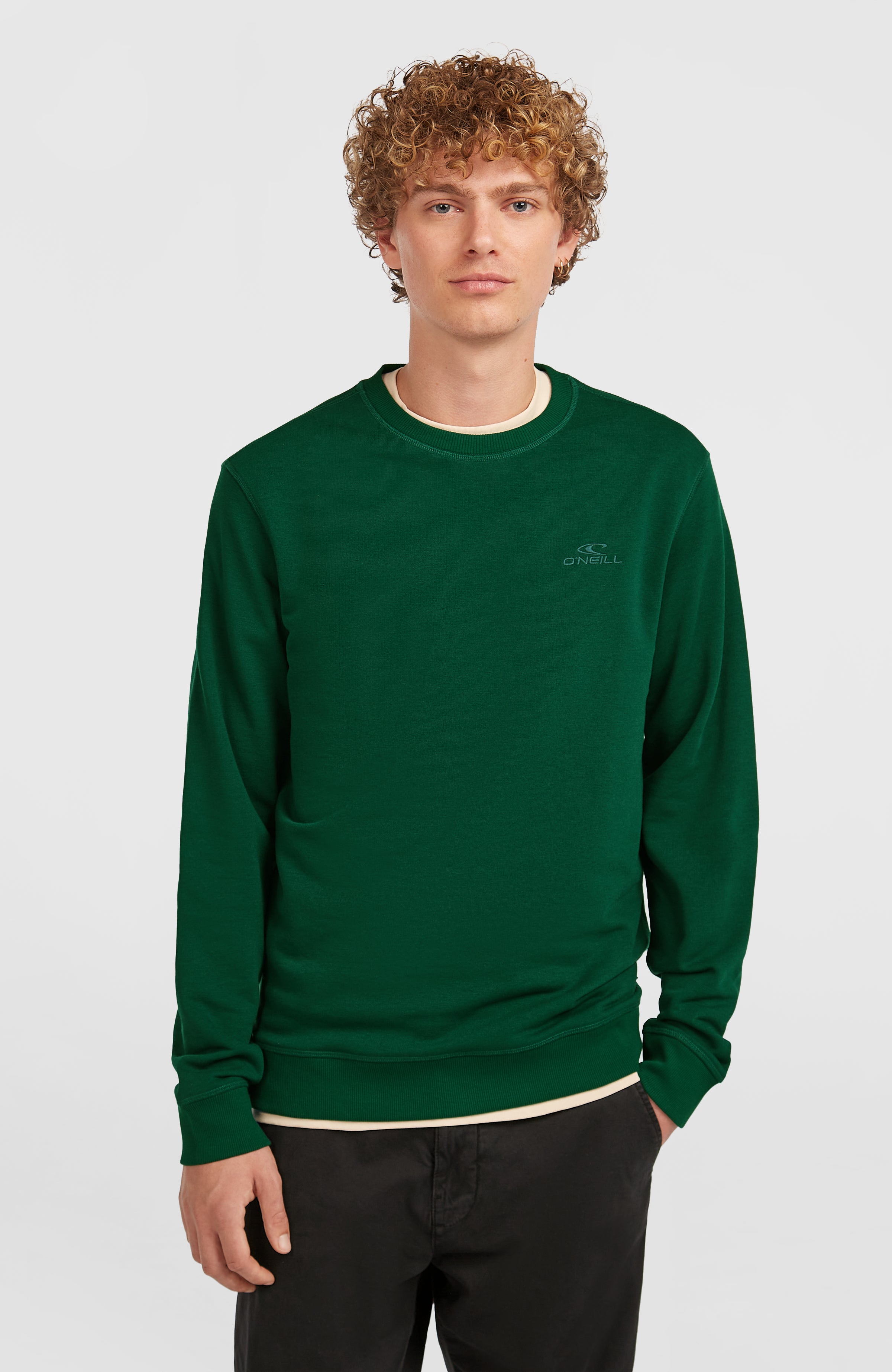 Small Logo Crew sweater