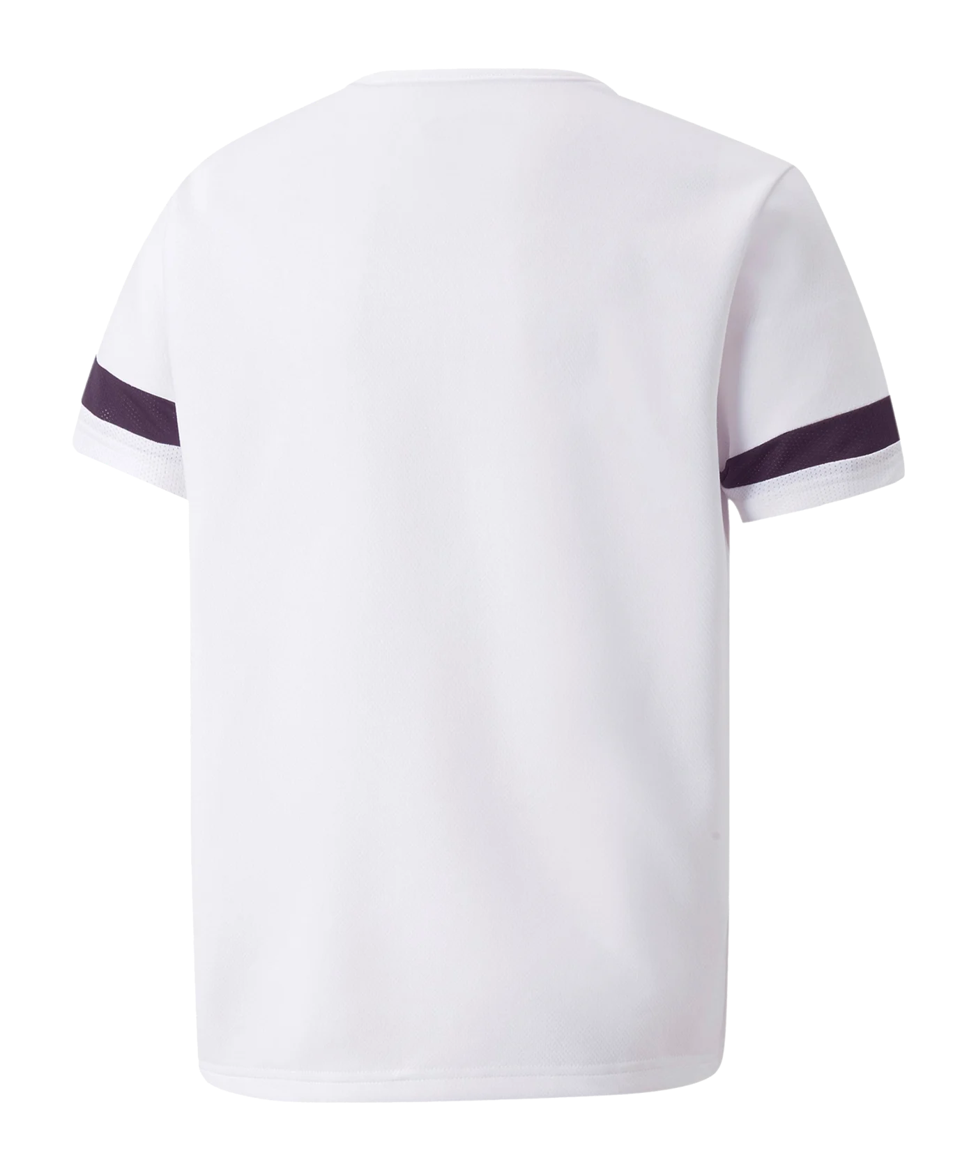 PUMA teamRISE Trikot Kids Weiss F04