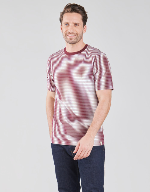 Scotch & Soda - 160847 - Rouge / Blanc