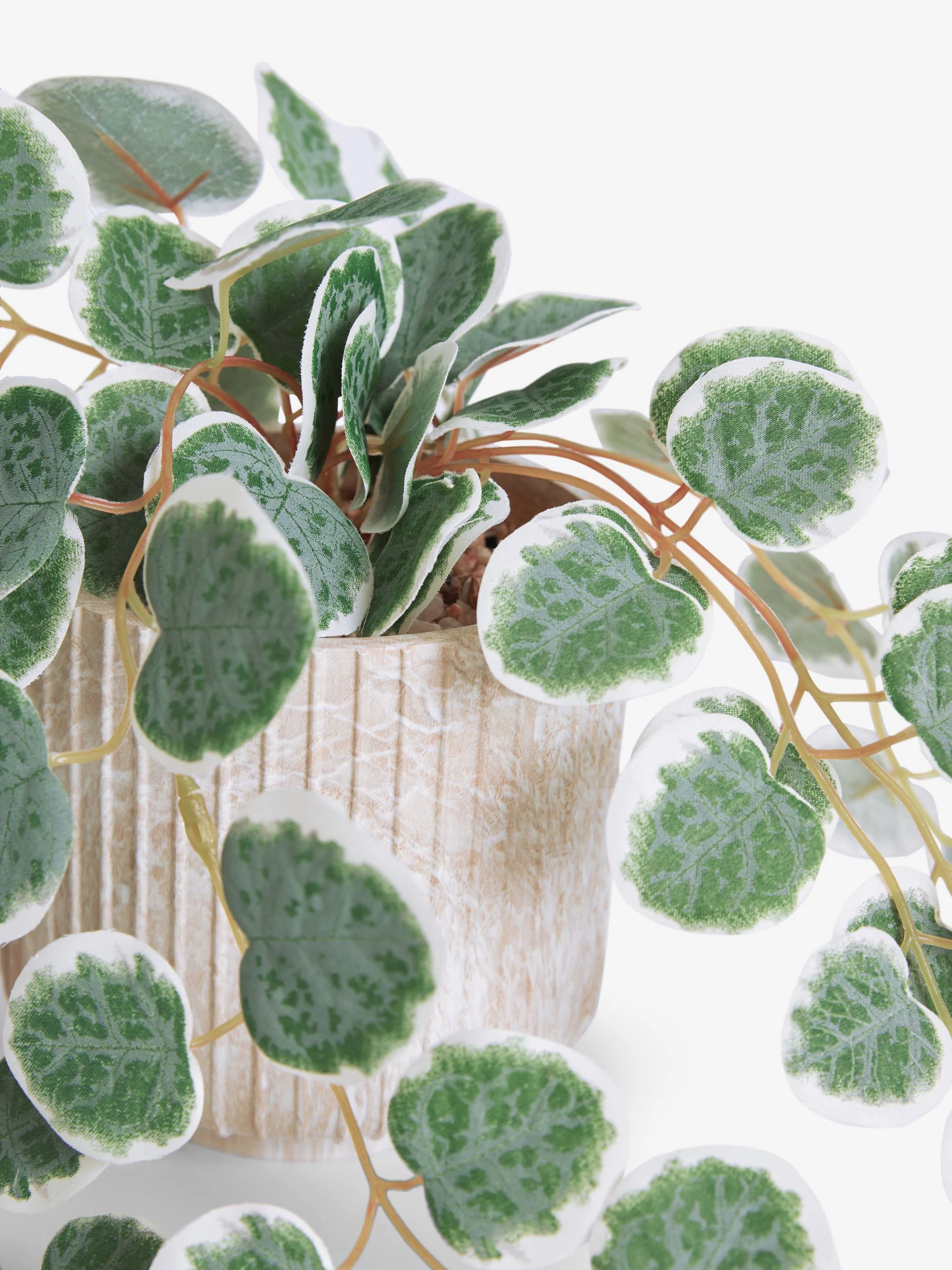Artificial Trailing Eucalyptus In Marble Effect Pot