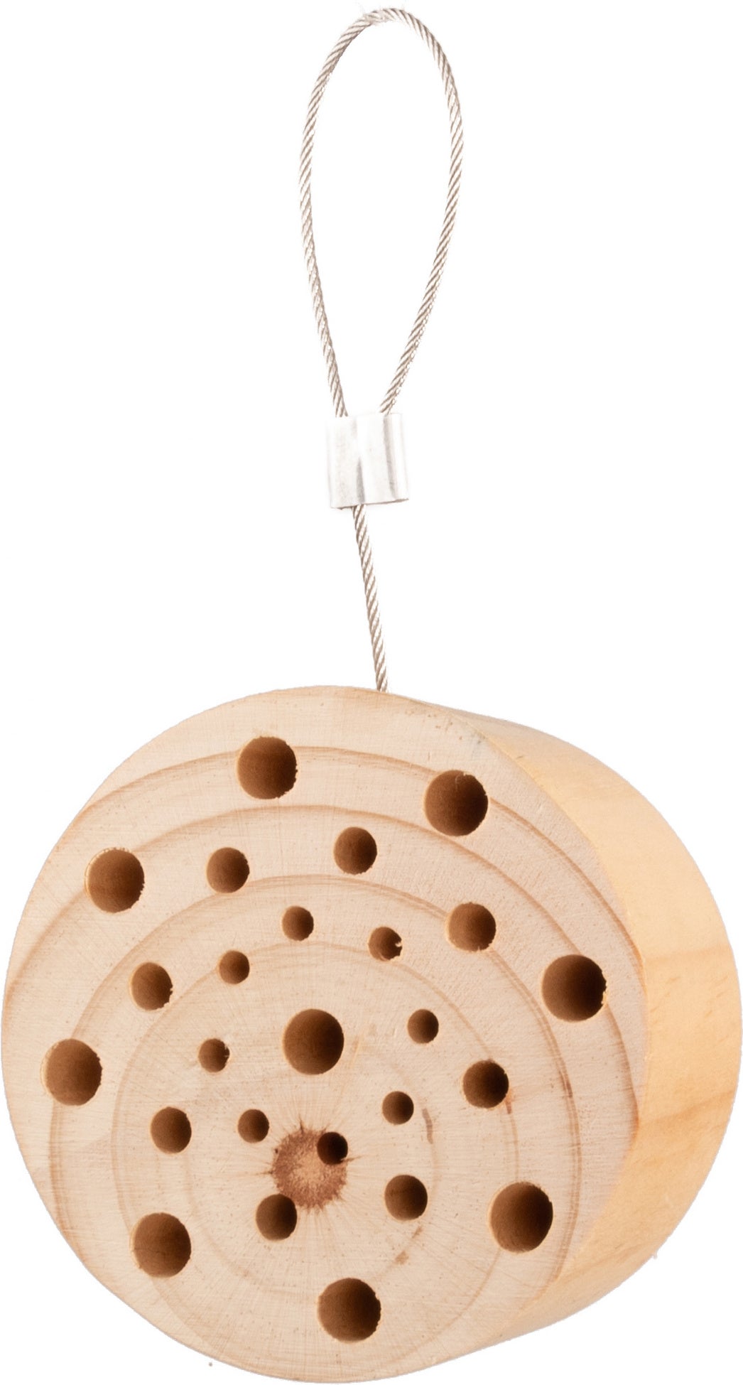 CJ Wildlife insectenhuis Gorgona 9 x 5 x 9 cm