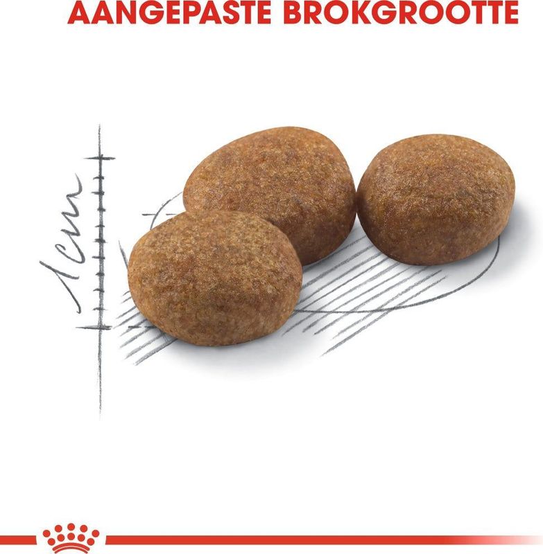 Royal Canin Sterilised - Kattenvoer - 10 kg
