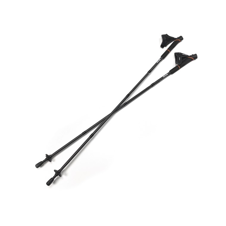 Silva Running Poles Carbon 125Cm
