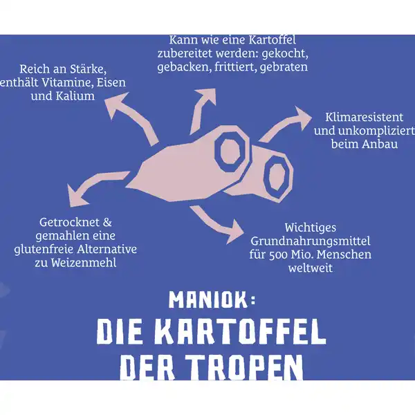Bio Maniok Chips mit Meersalz