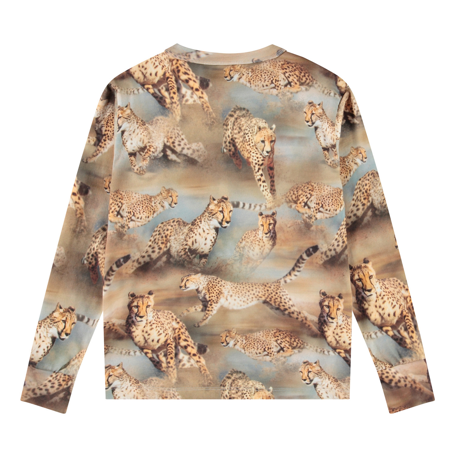 Rill - Fast Cheetahs