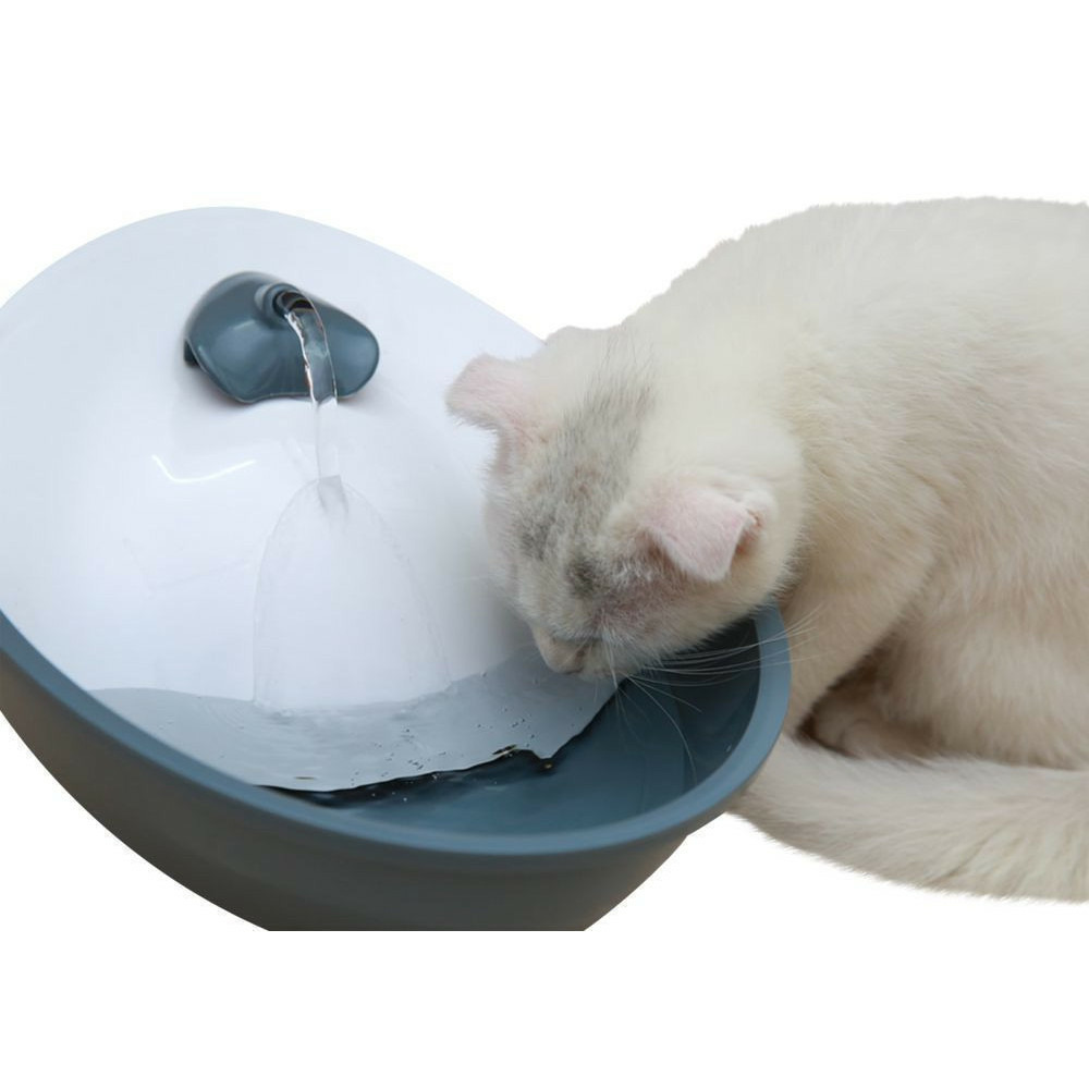 Fontaine eyenimal classic pet 1,75 l pour petit chien et chat