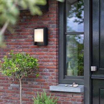Philips wandlamp Arbour