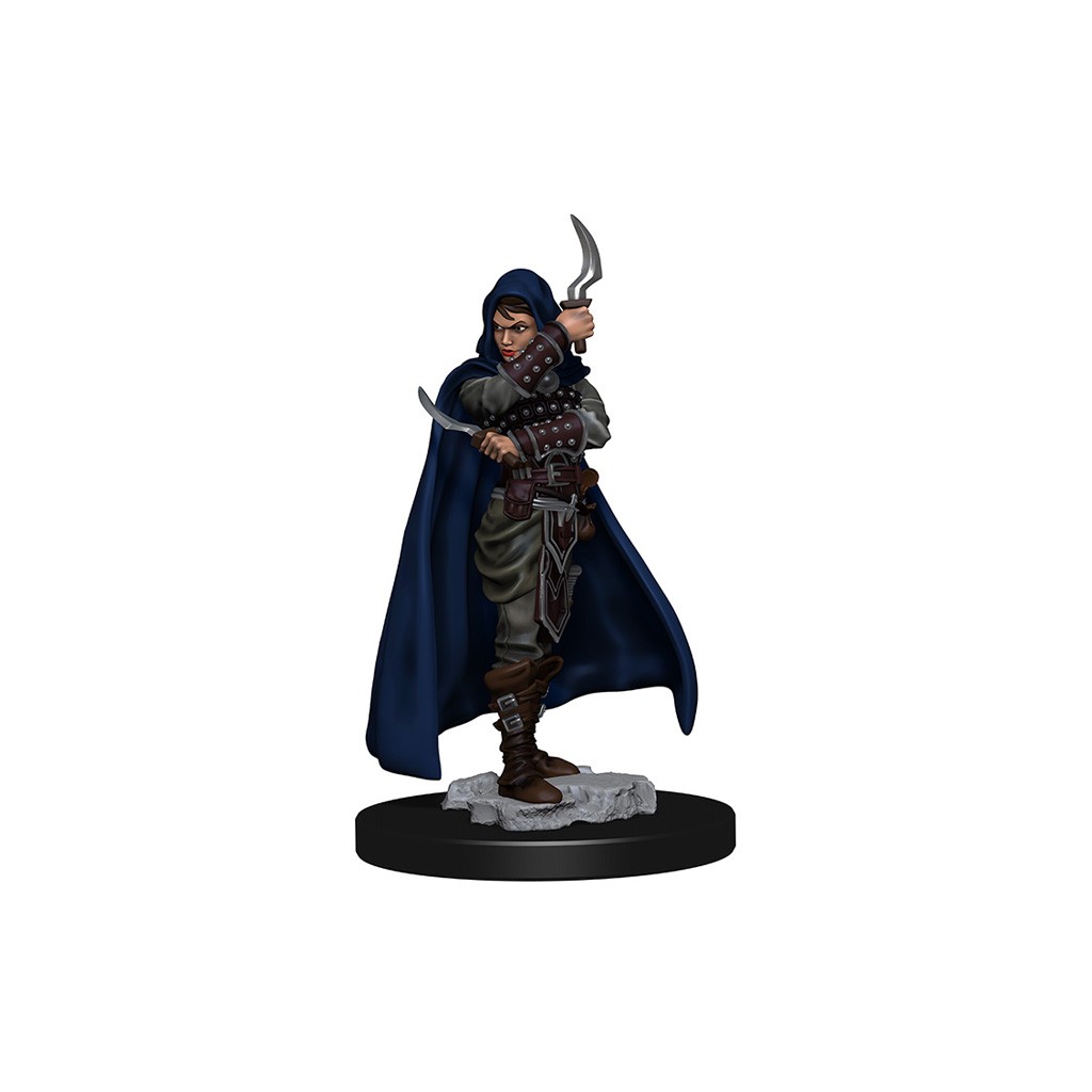 Pathfinder Deepcuts Unpainted Miniatures: Human Female Rogue