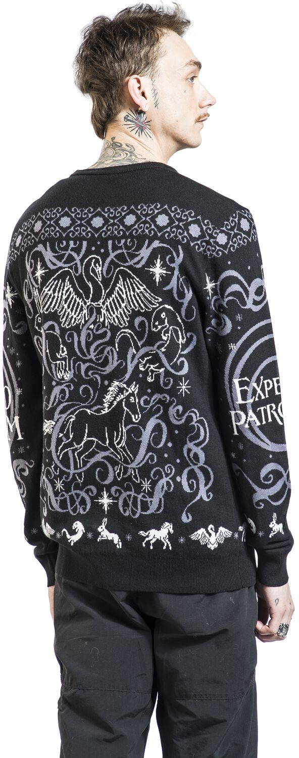 Expecto Patronum | Harry Potter Pull de Noël