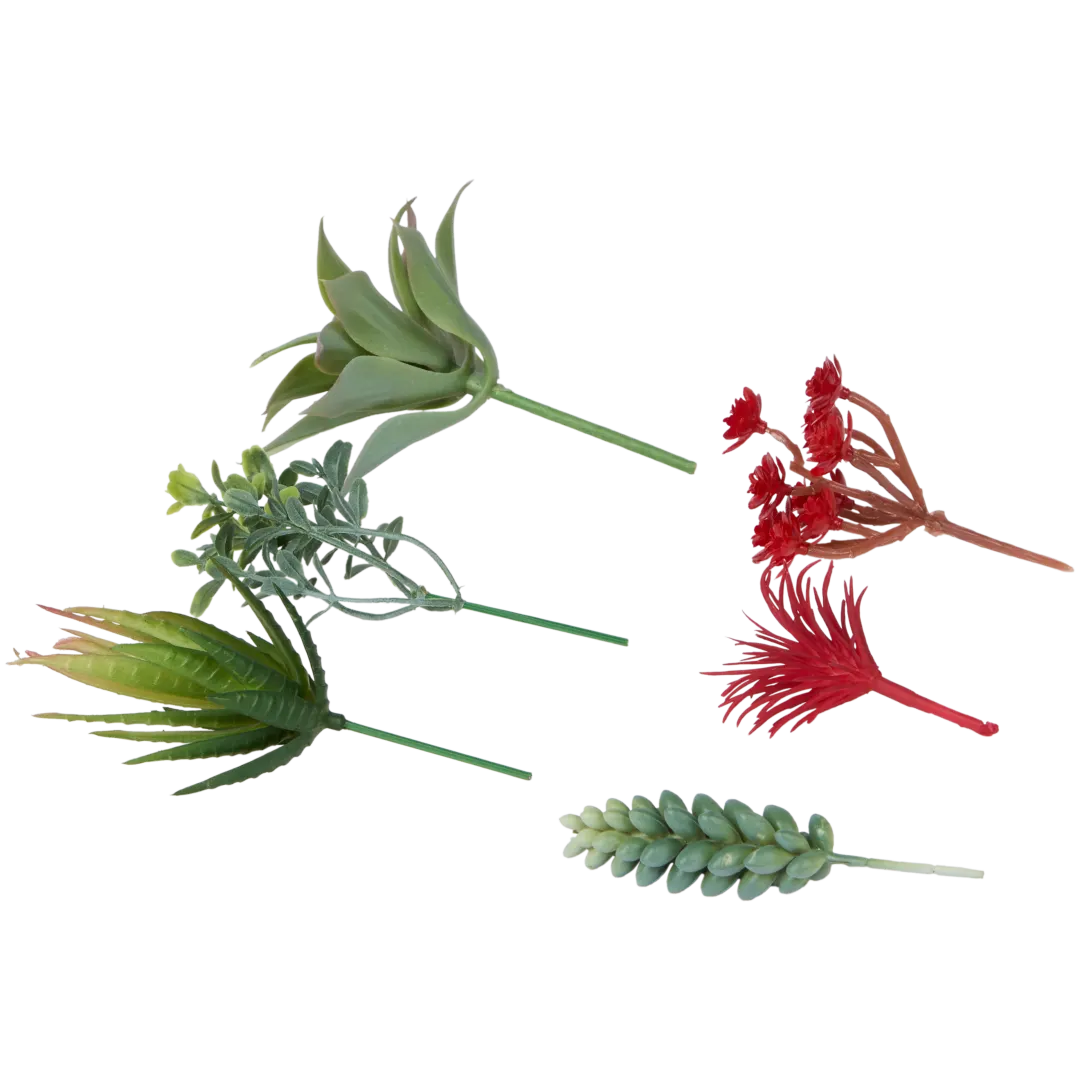Plantes grasses artificielles