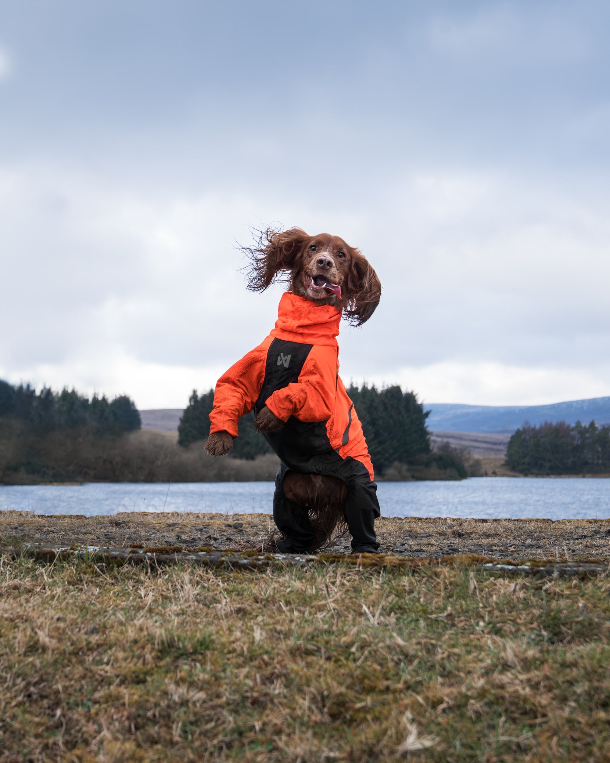 Non-Stop Dogwear Fjord Overall Raincoat<br> Vanntett og pustende regndekken!