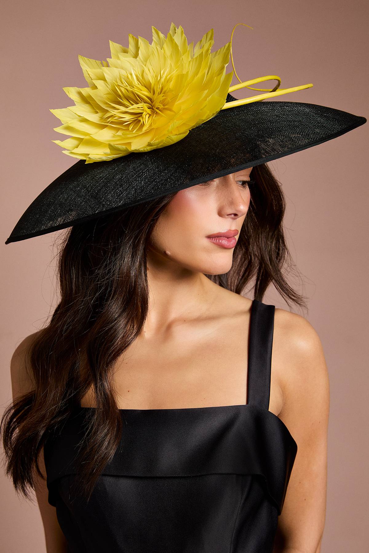 Coast Chapeau À Large Bord Lisa Tan Avec Détails De Plumes Et Pennes