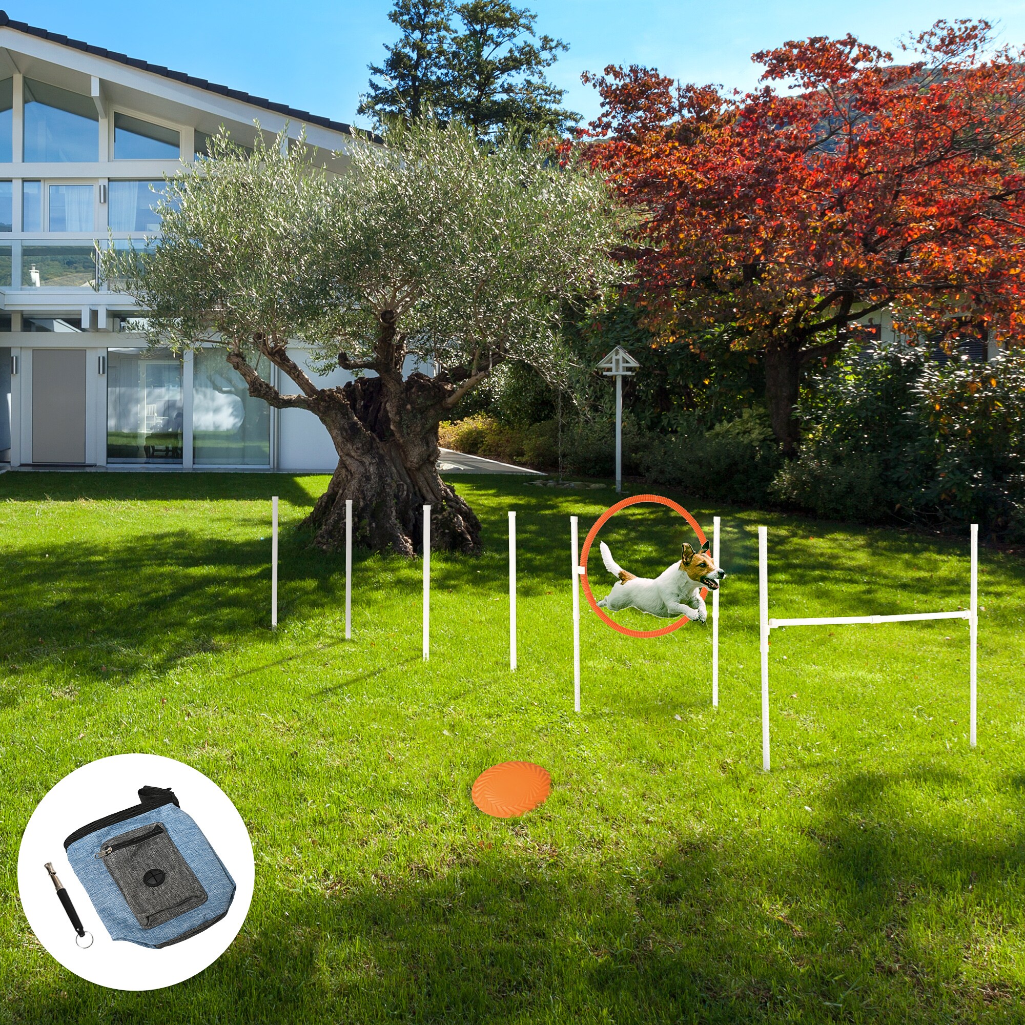 PawHut Agiliy-set für Haustiere mit einer Pfeife bunt 91L x 4B x 90H cm