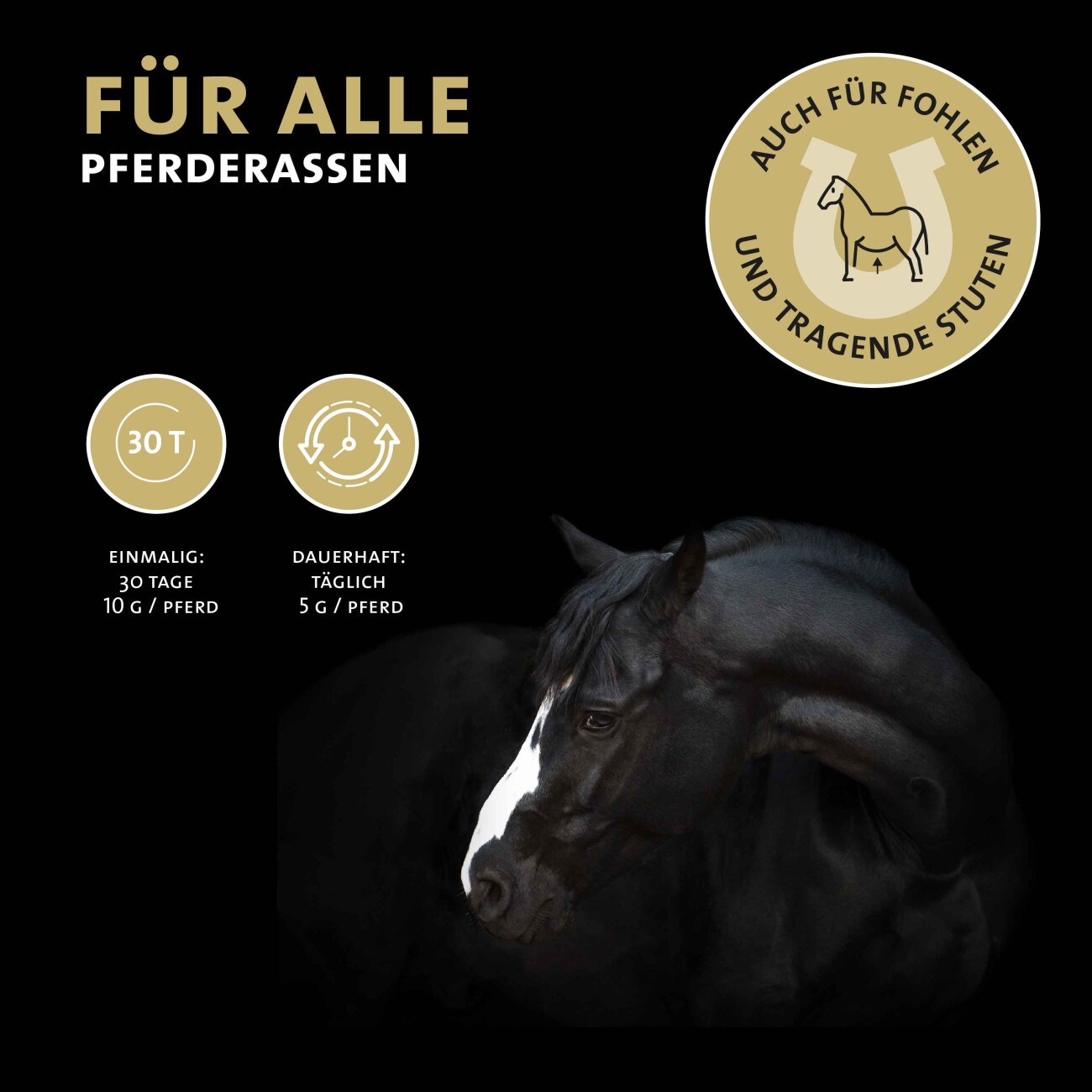 Peticare Ergänzungsfutter Immun & Vital Mix Pulver für Pferde 200g