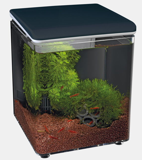 Superfish Home 8 Zwart