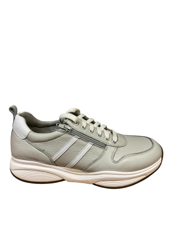 Xsensible 30073.4 wijdte H SWX3 - Men H Grey