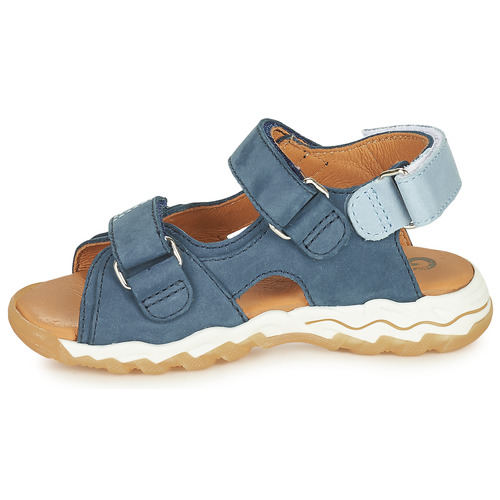 GBB - DIMOU - Bleu