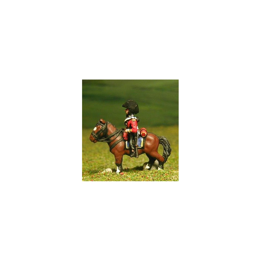 British Cavalry 1800-13: Heavy Cavalry in Bicorne