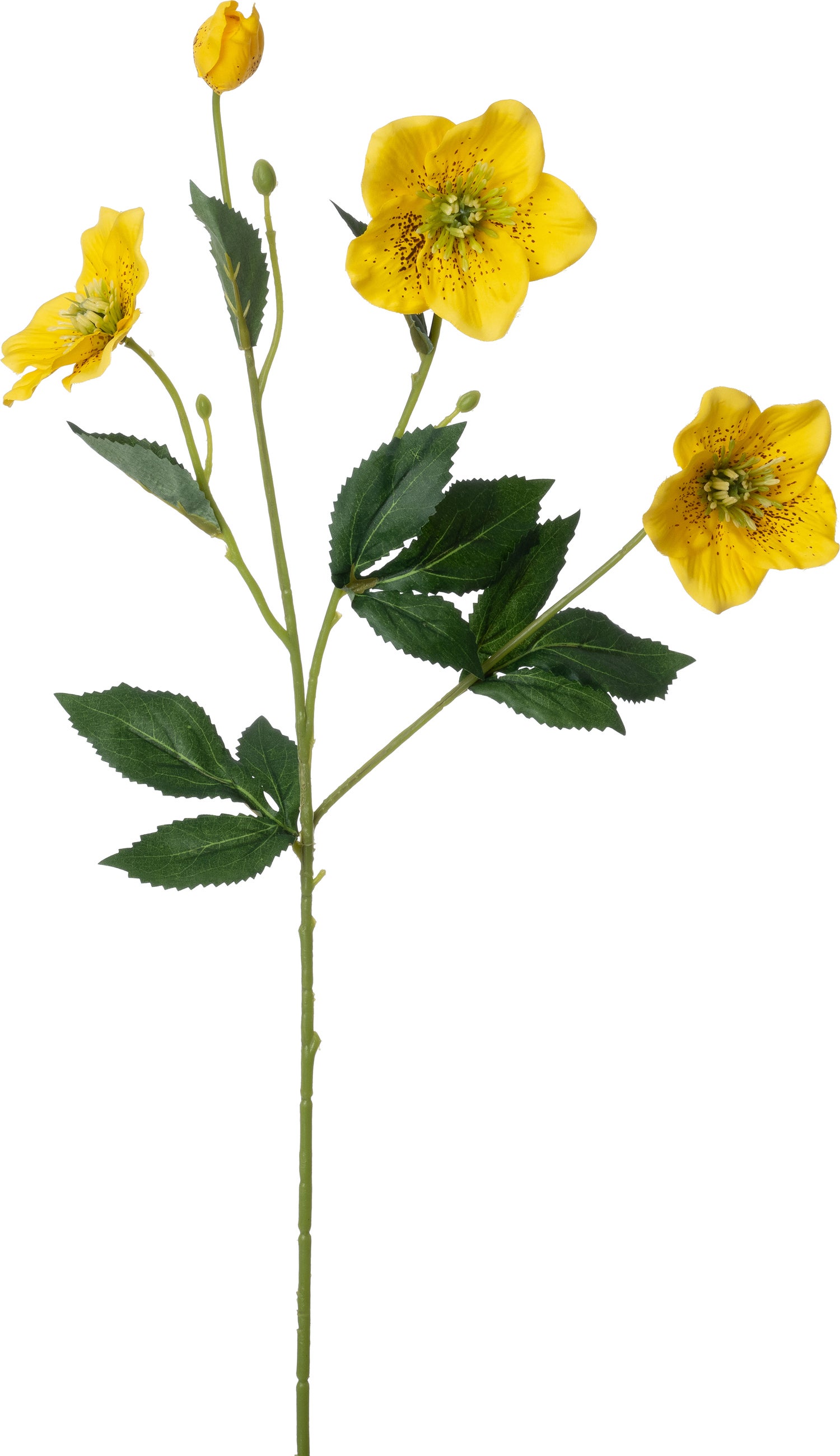 Intratuin kunstbloem Helleborus geel 72 cm