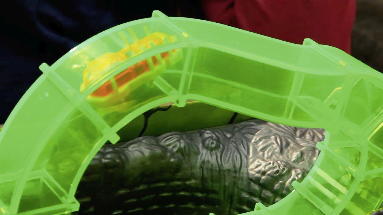 Kakerlaloop