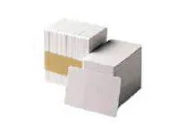 Zebra Premier Security - 30 mil - 100 stk. PVC-kort med indlagt hologram (World Globe Design) (pakke med 5) - for Zebra P100i, P110i, P120i, P330i, P330m, P430i, P520i, P630i, P640i