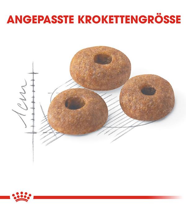 ROYAL CANIN® Trockenfutter für Katzen Fit
