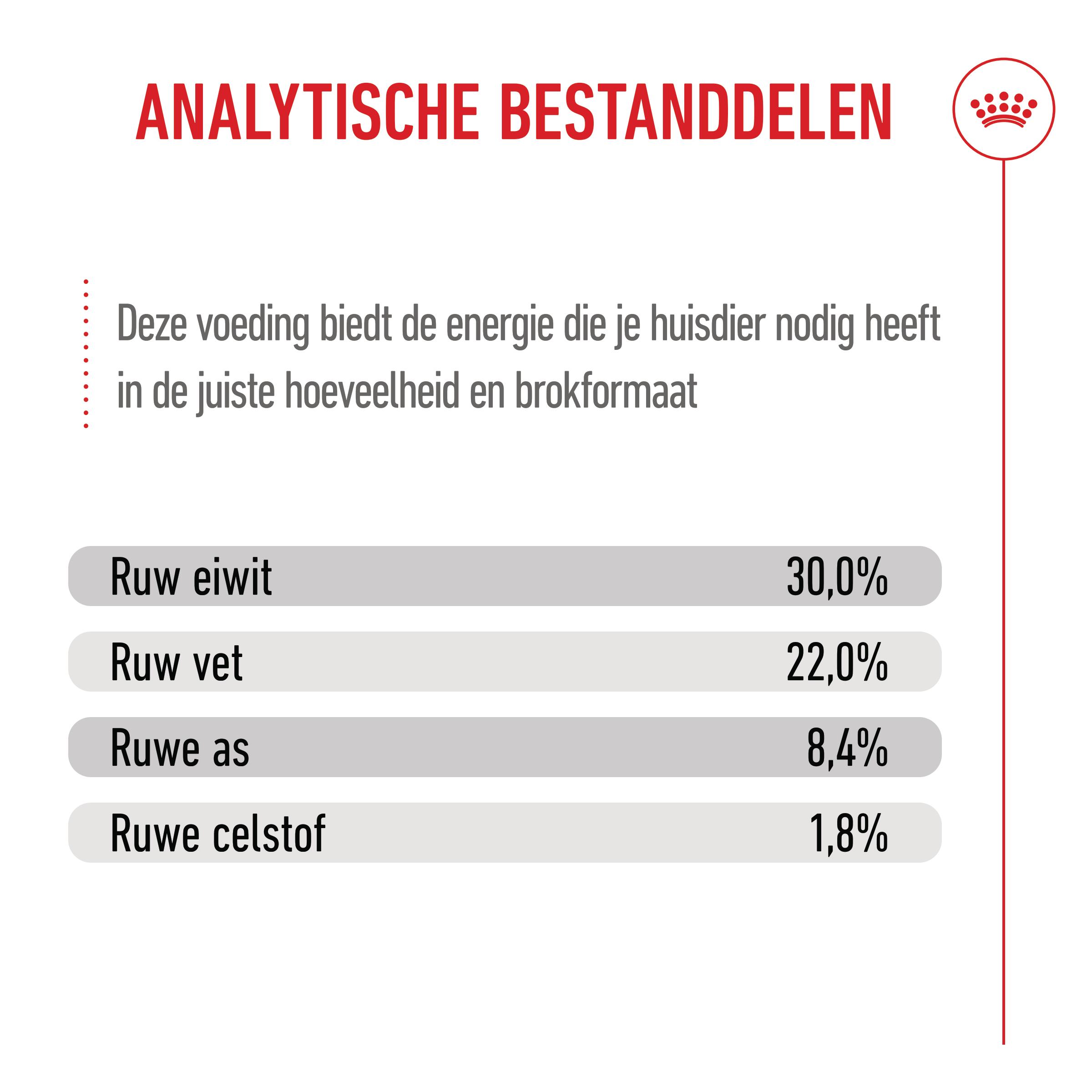 Royal Canin Maxi Starter Mother & Babydog - Hondenvoer
