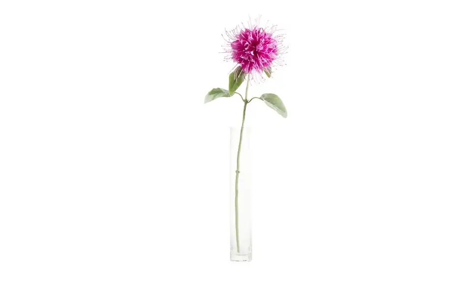 Kunstblume Monarda