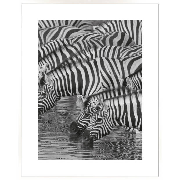 Blokker Fotolijst Basis - 40x50 cm - Wit