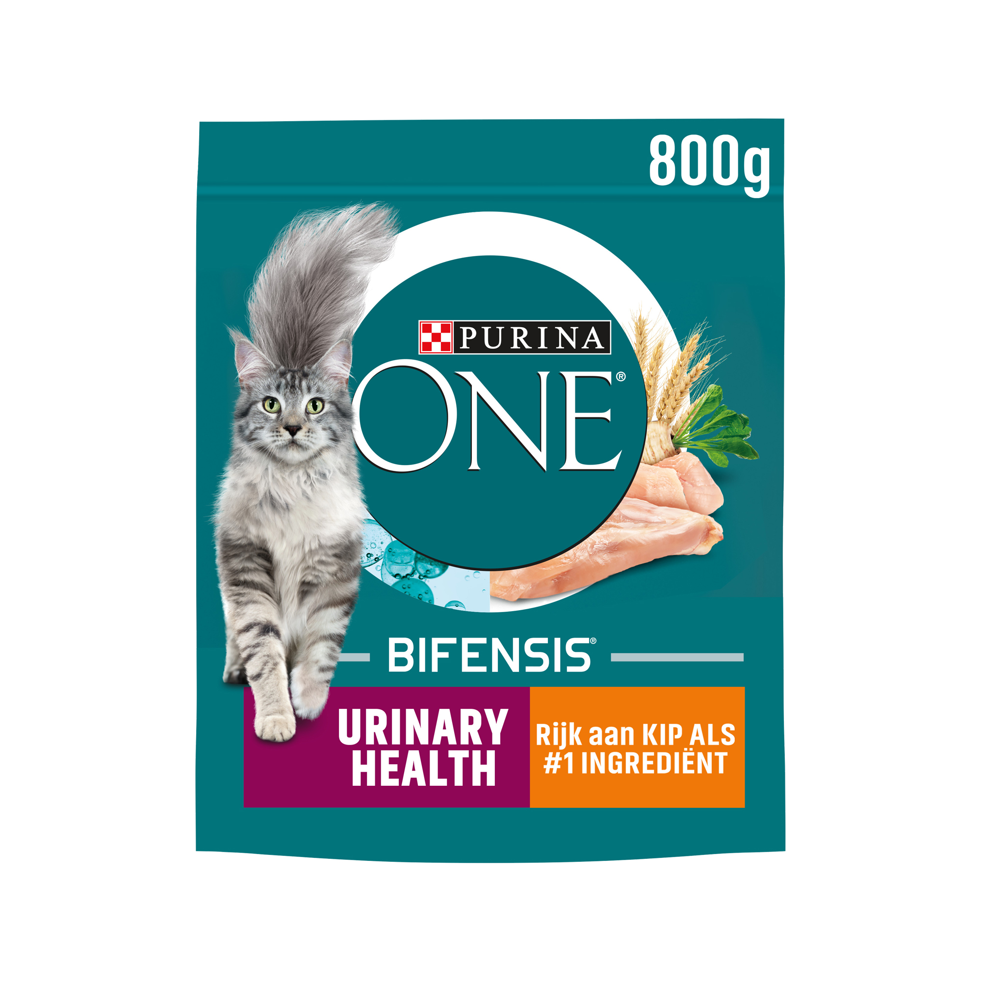 Purina ONE Adult Urinary Health