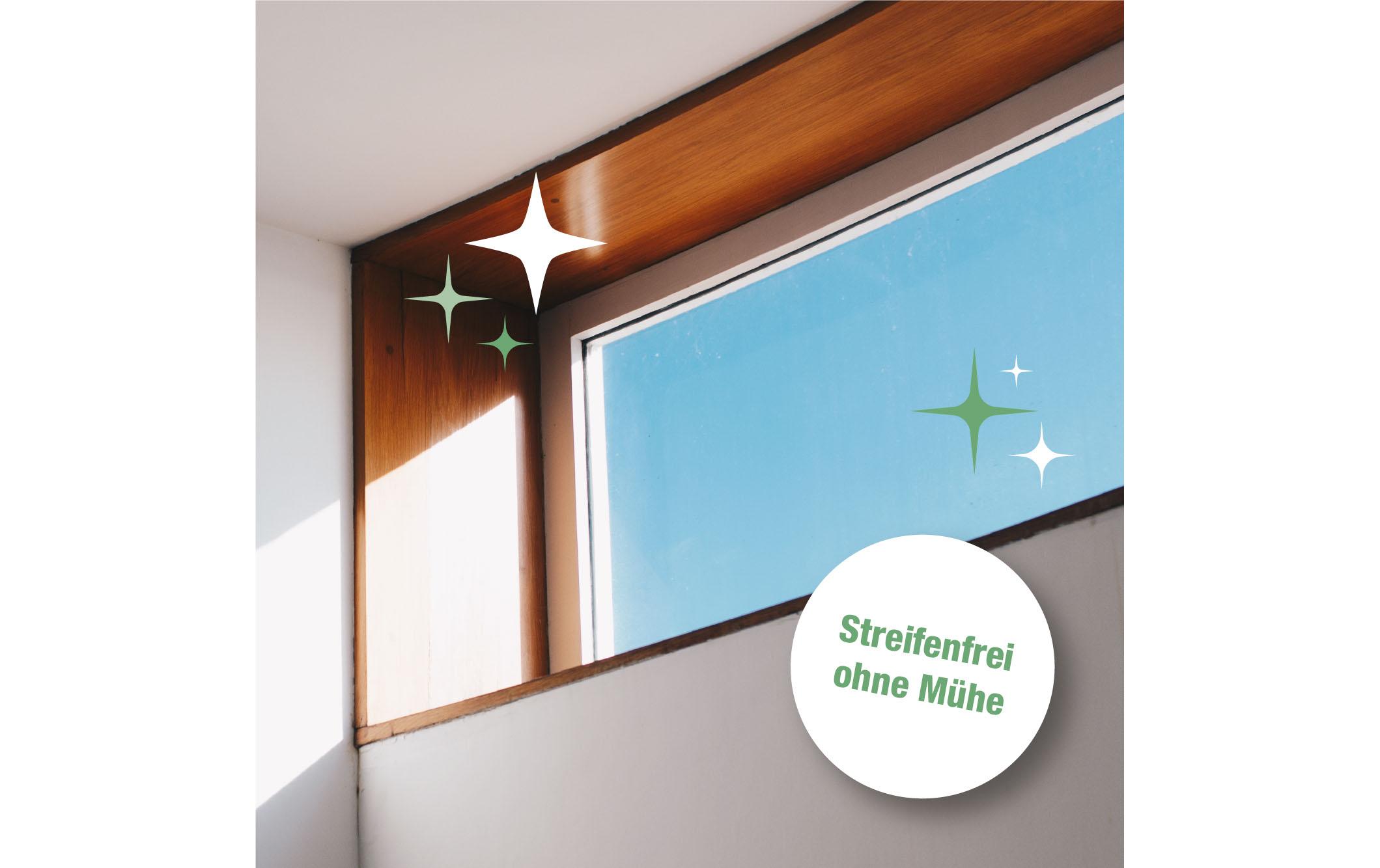 Glasreiniger 750 mlZuverlässiger Reiniger für alle Oberflächen aus Glas