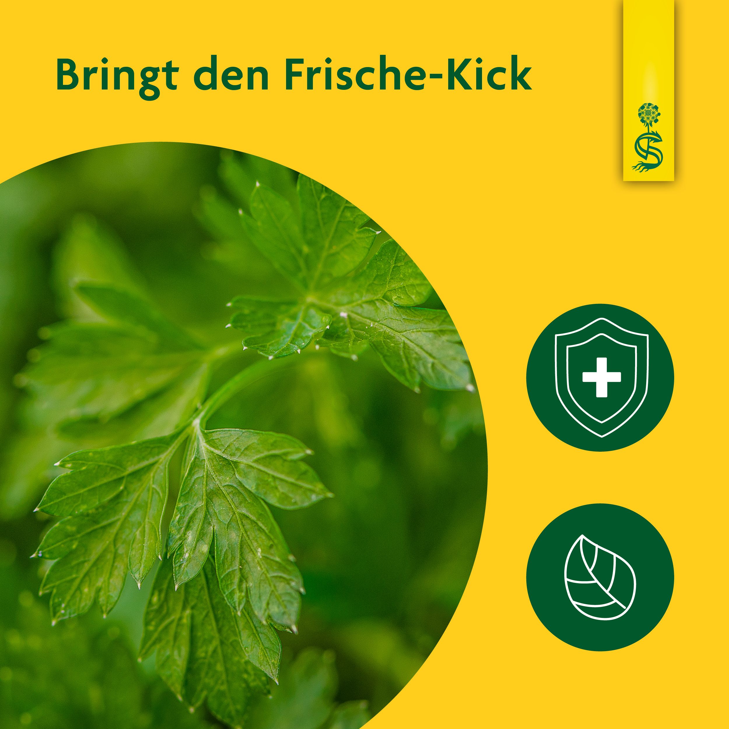 Schoenenberger® naturreiner Pflanzensaft Petersilie