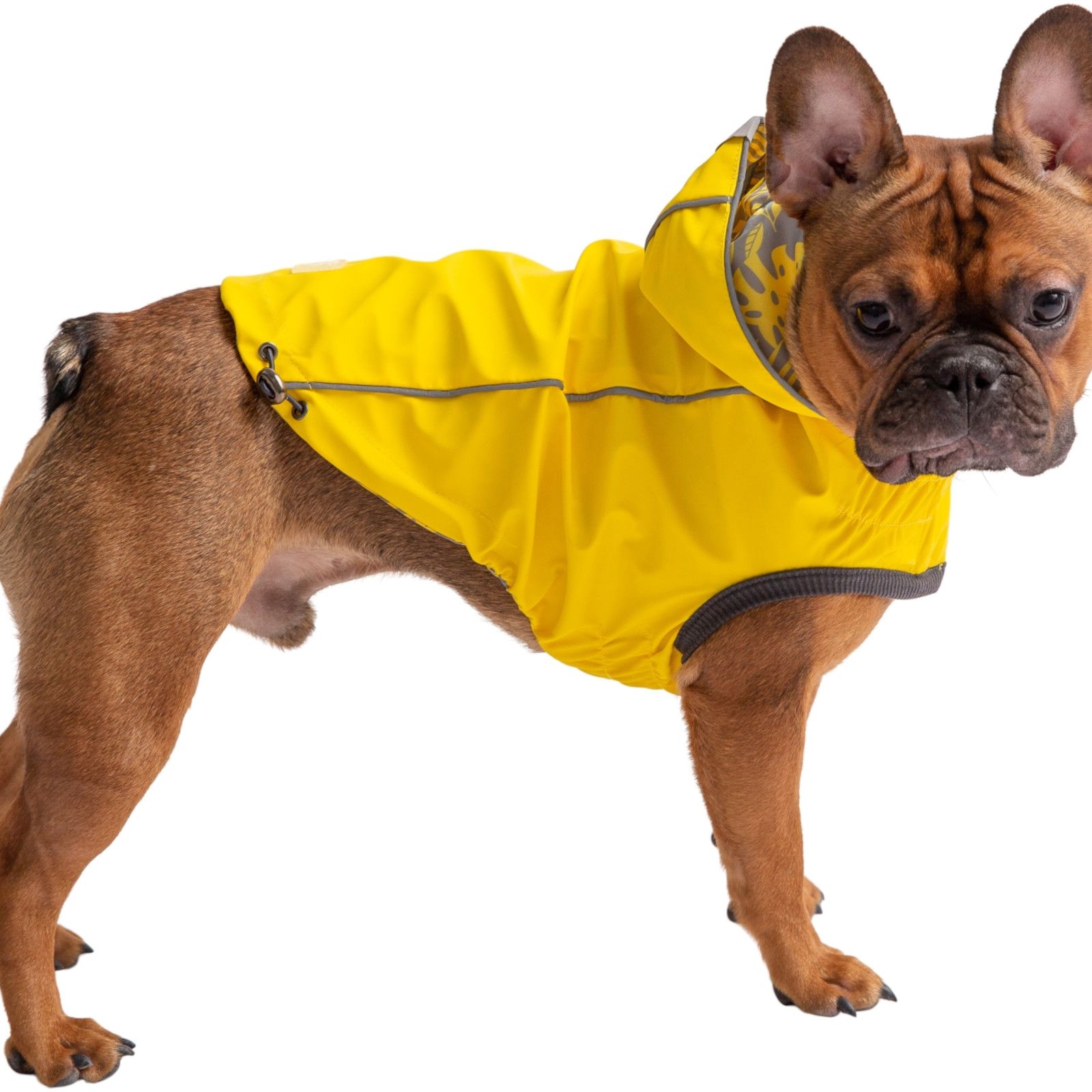 GF Pet Elastofit Regenmantel für Hunde