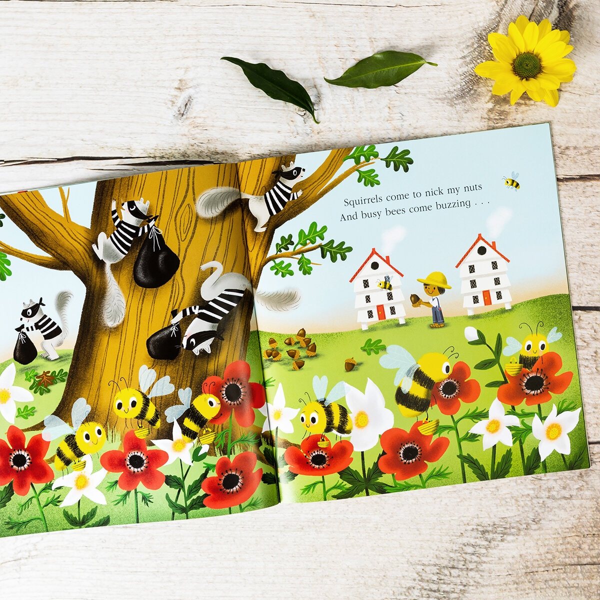 Nature Trail (Paperback)