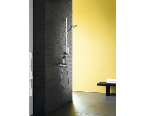 hansgrohe douchemengkraan met thermostaat ECOSTAT SELECT chroom 13161000