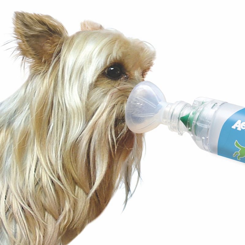 AeroDawg Inhalatiesysteem Pufjes Hond | Klein | 12744