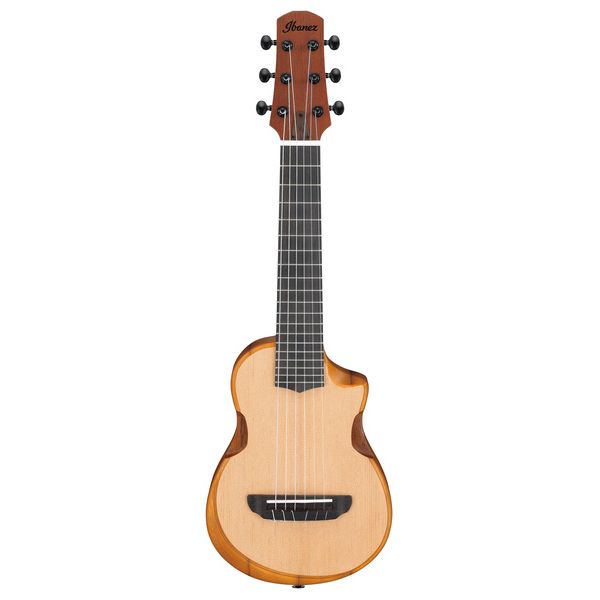 Ibanez AUP10N-OPN