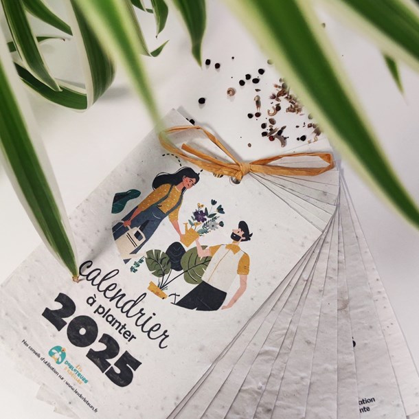 Calendrier à planter 2025