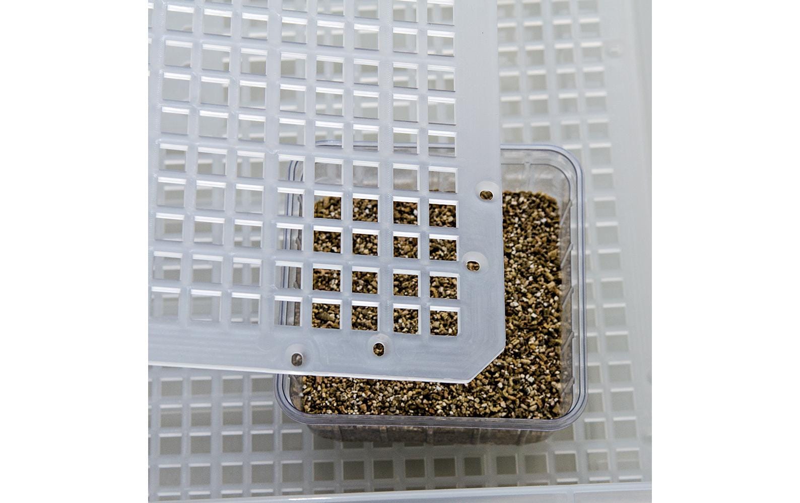 Easy Breeder Inkubator, 48 x 25 x 51 cm<br>Brutmaschine für Reptilien