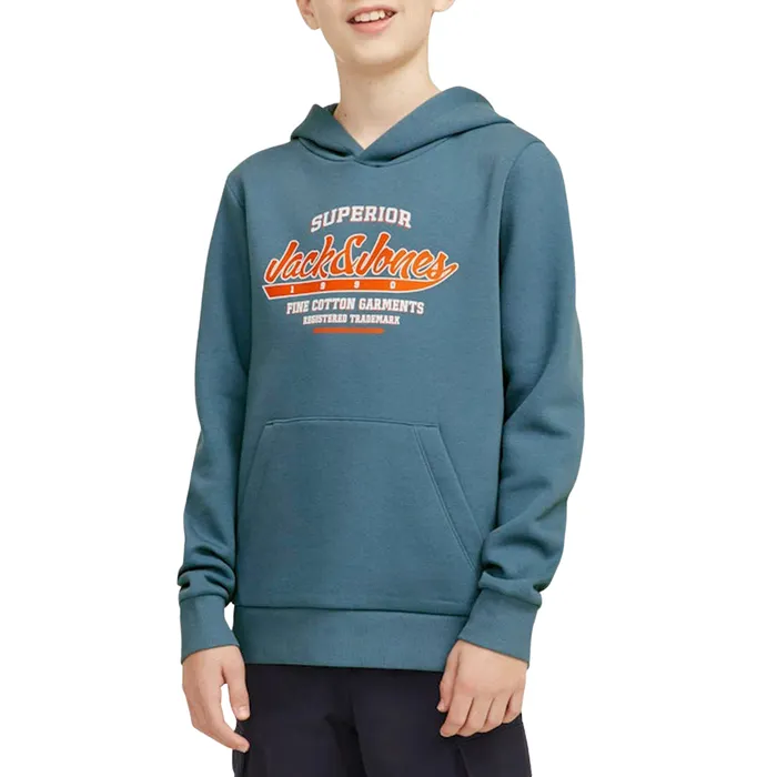 Jack & Jones Logo Hoodie Junior