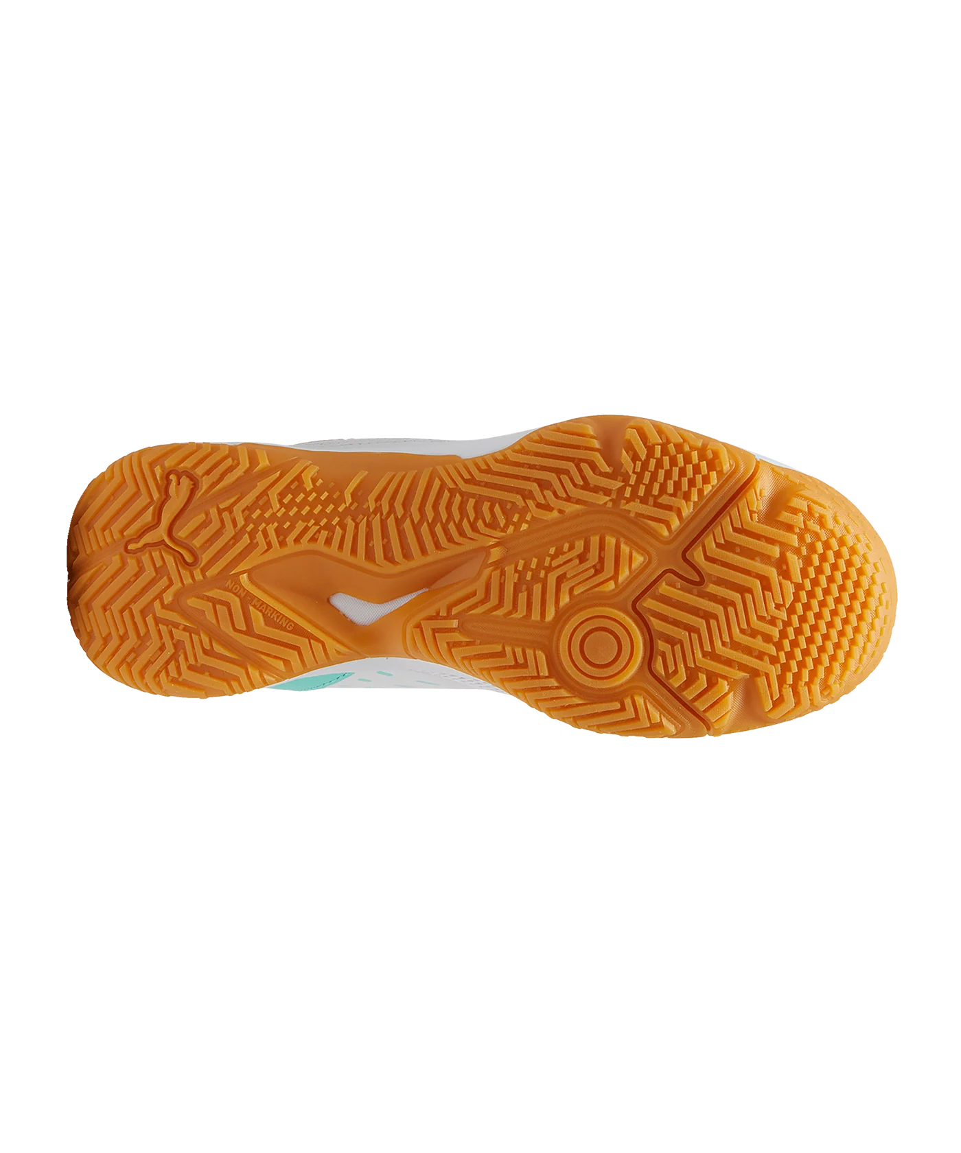 PUMA Varion II Schuh Kids Blau F03