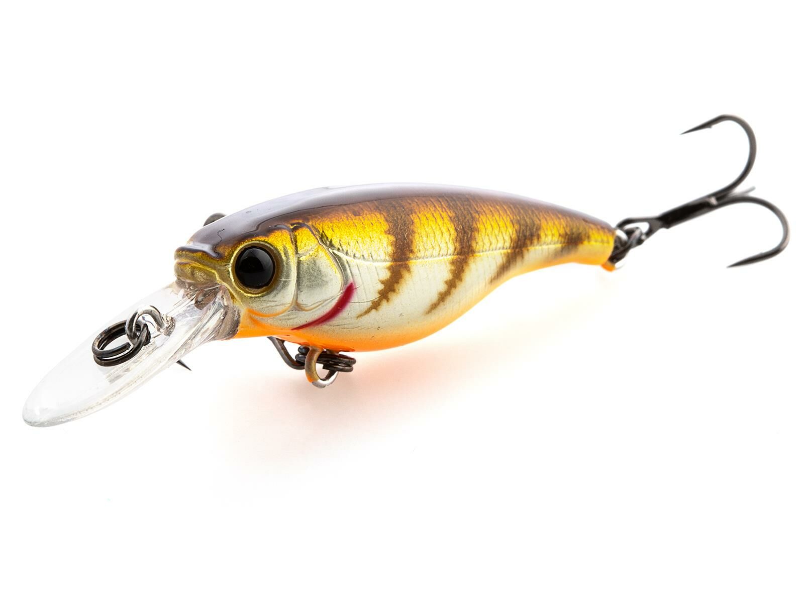 SX 40F (346) Brown Perch