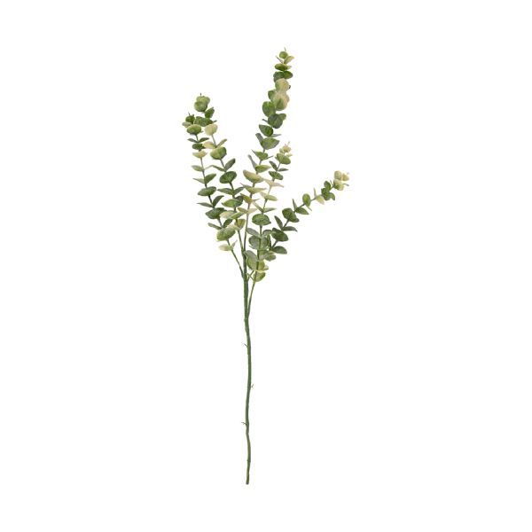 Present Time Arti Cial Tak Eucalyptus