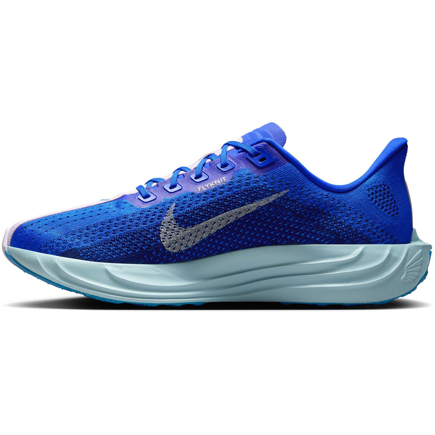 Nike Pegasus Plus CM Heren