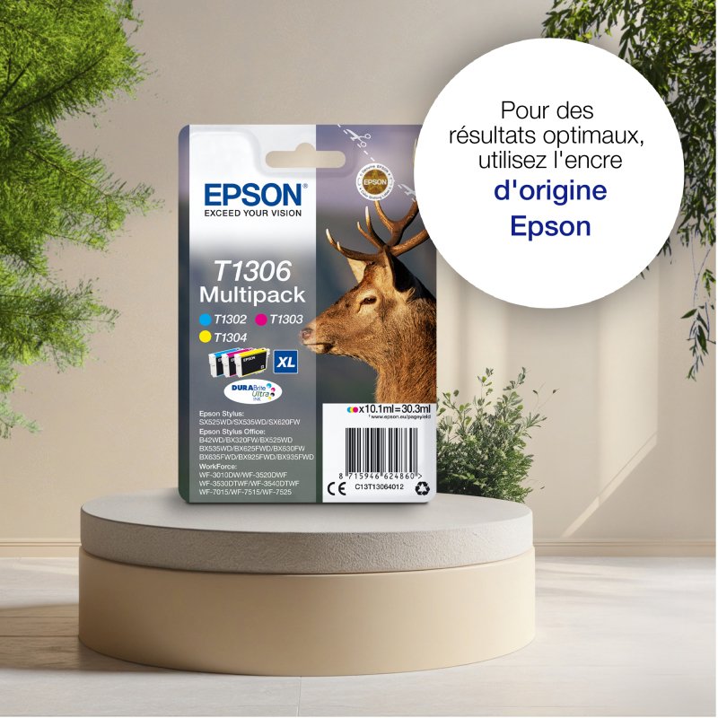 Epson Stag Encre noire DURABrite Ultra Cerf T1301