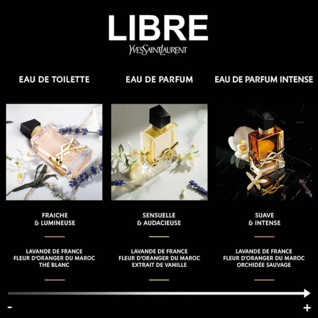 Libre Intense YVES SAINT LAURENT