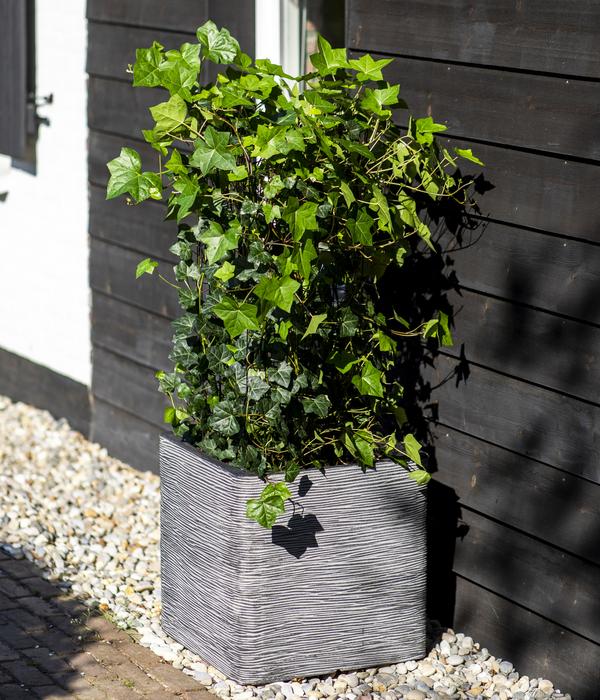 Capi Europe Kunststoff-Topf Rib, quadratisch