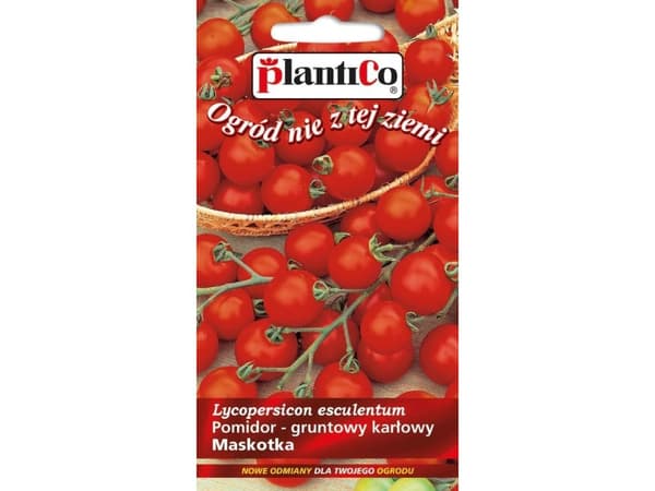 Nasiona Lycopersicon lycopersicum -Pyros- kjøtttomaat, zaad 0,5g