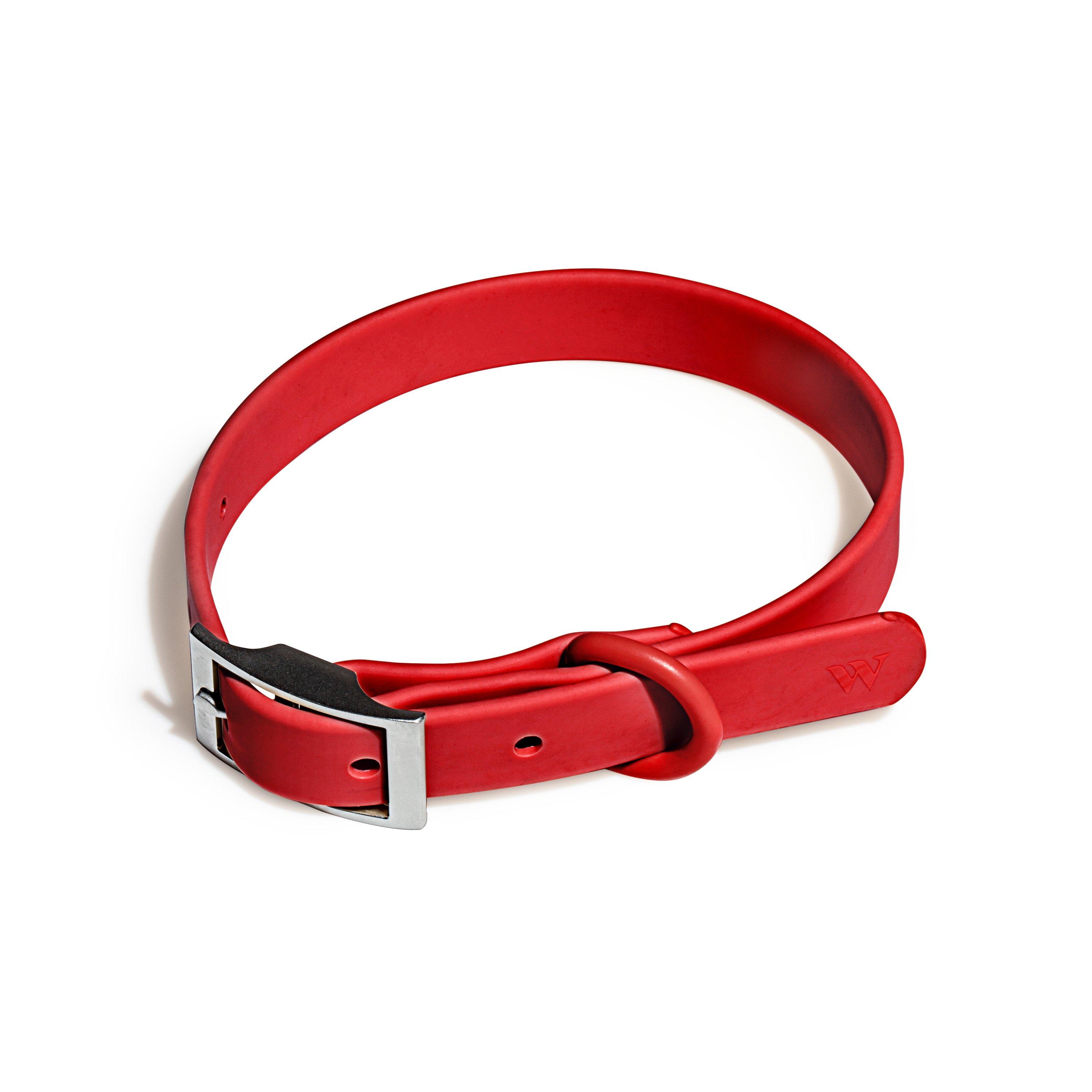 Wild One WO Dog Collar