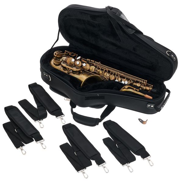 Schagerl Alto Sax 66FV-EC